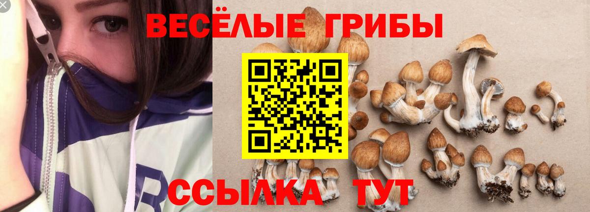Псилоцибиновые грибы мицелий Апрелевка