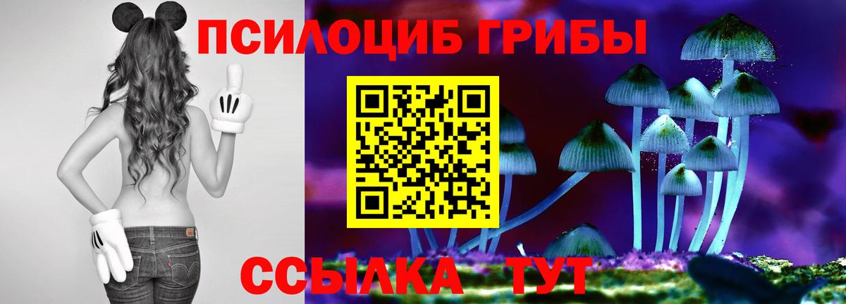 Апрелевка  Галлюциногенные грибы GOLDEN TEACHER  Вход с VPN  Псилоцибиновые грибы ЛСД 